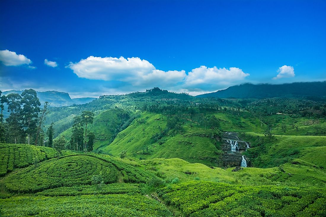 Analog forestry has been used as a means of restoring forest coverage that has been lost in Sri Lanka. 