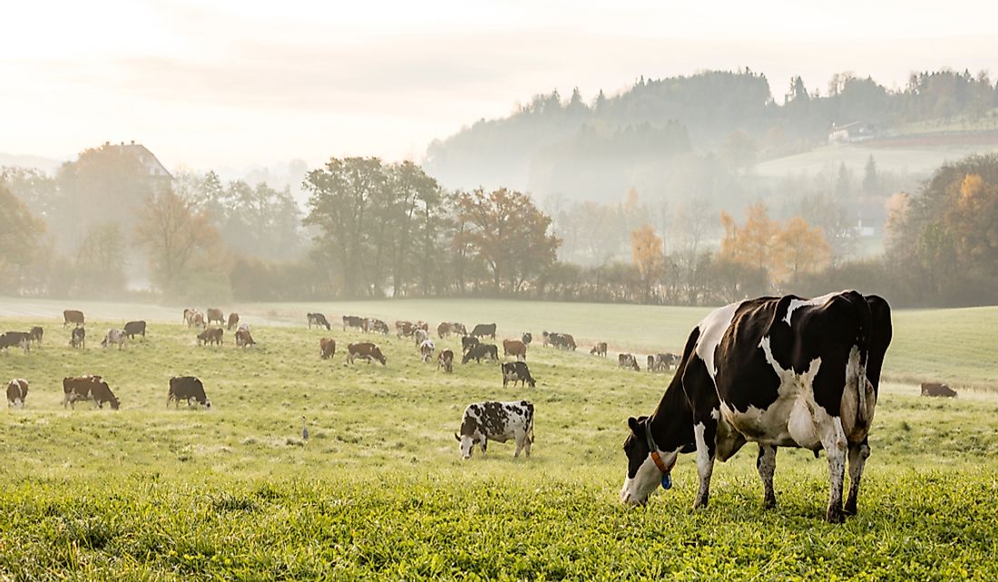 Switzerland encourages domestic agricultural practices.