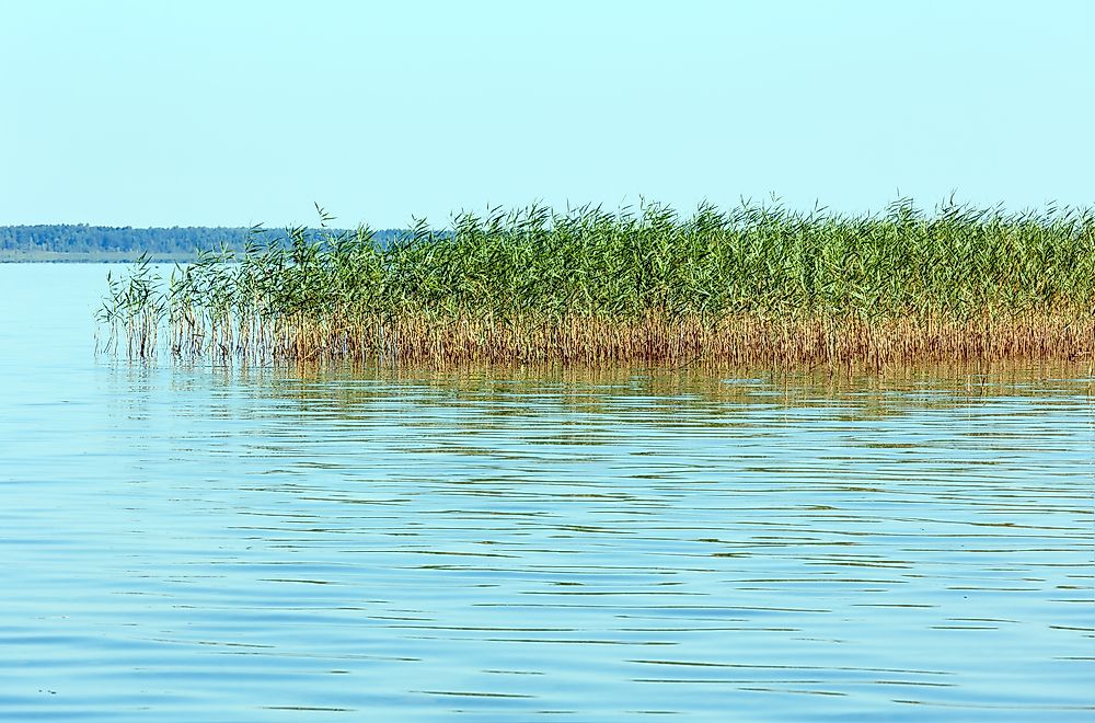 Shatsky National Nature Park, Ukraine.