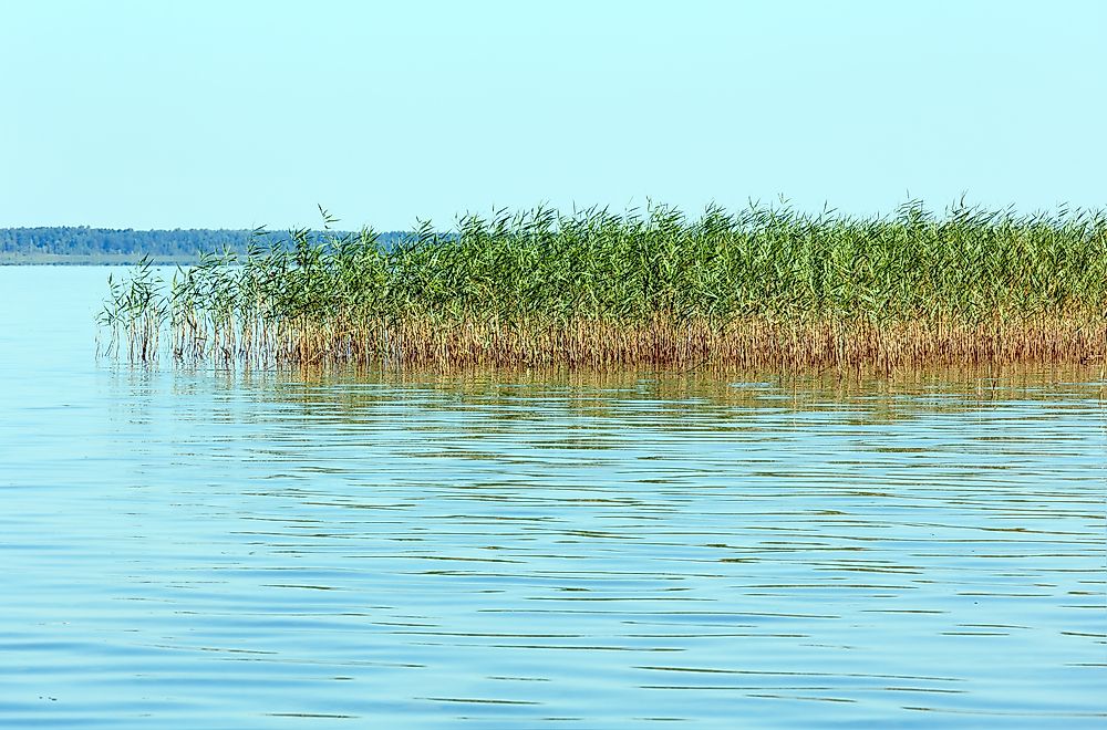 Shatsky National Nature Park, Ukraine. 