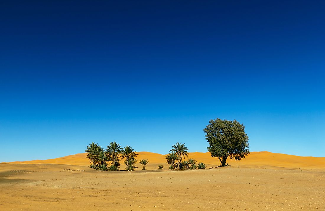 An oasis in the Sahara Desert. 