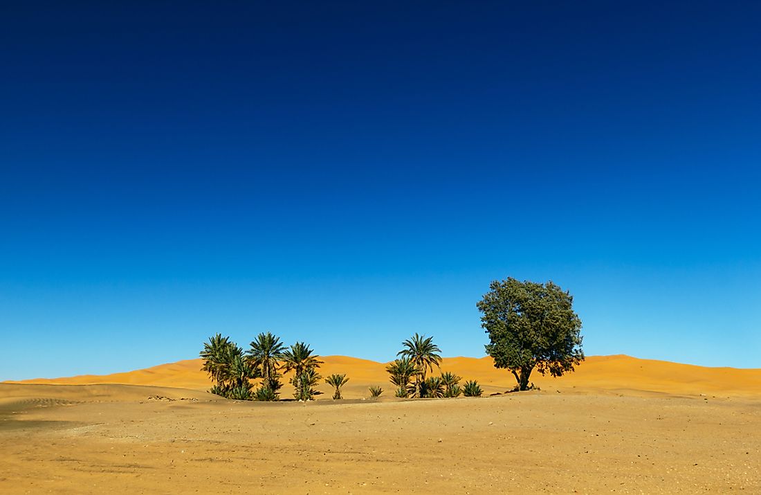 Oasis desert - Comment se forment telles ?