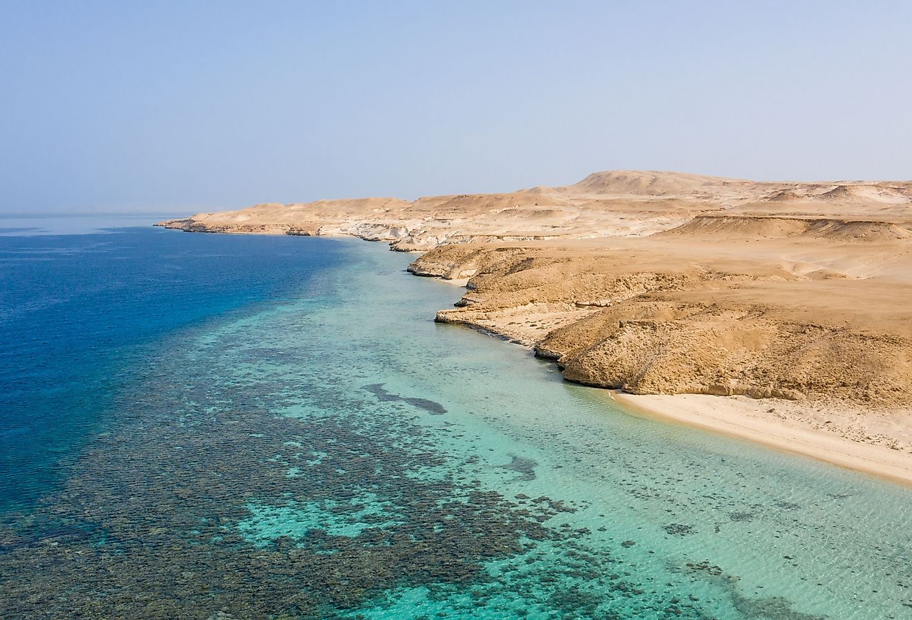 Aerial view Red Sea corals and sandy island, Egypt. Image credit Lostsurf via Shutterstock. 