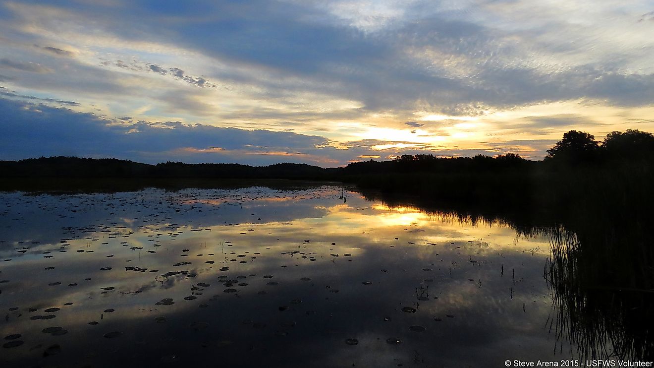 Great Meadows National Wildlife Refuge