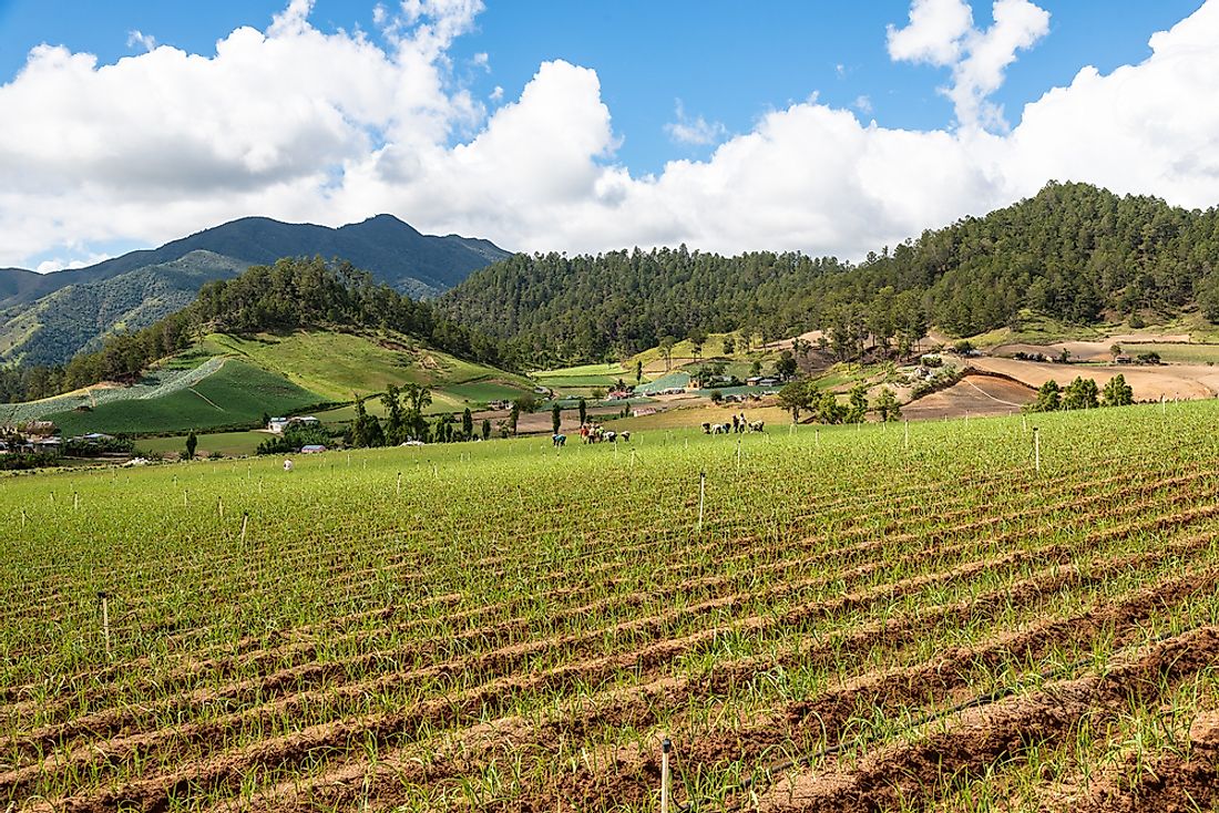 A farm in the Dominican Republic. 