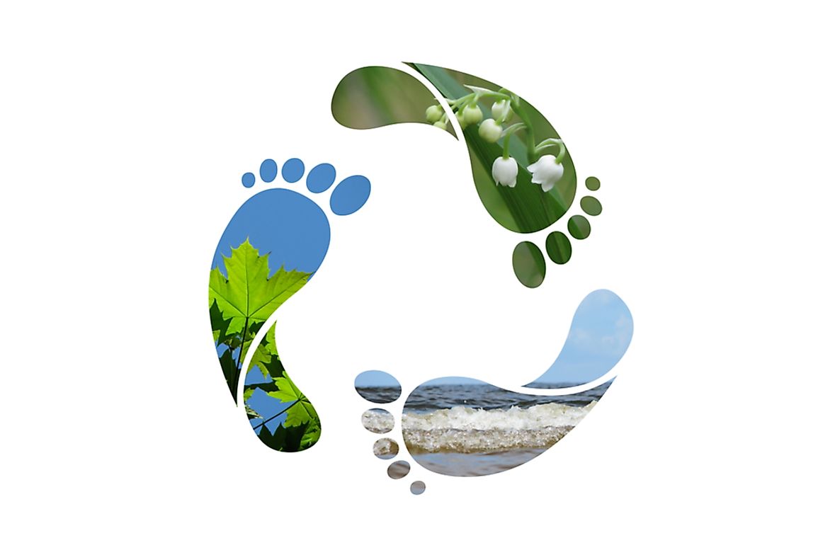 Water footprints measure the water used and polluted through daily individual and industrial use. 