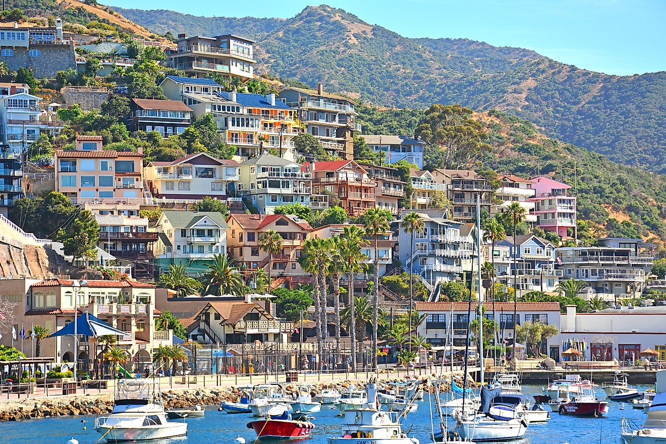 Avalon, California.