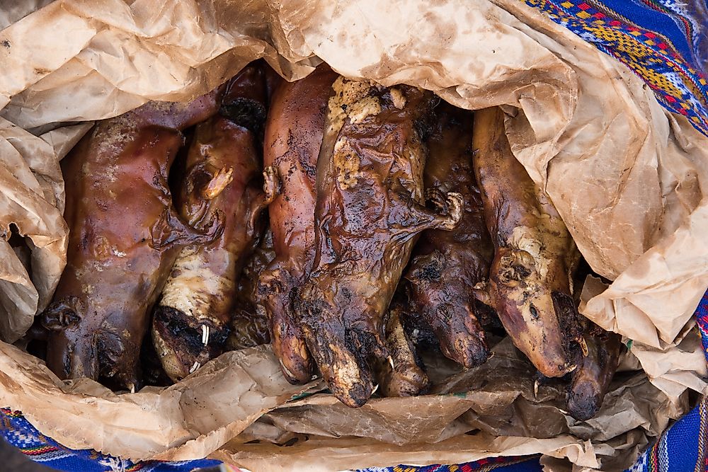 Boiled guinea pig, a delicacy in some areas of South America. 