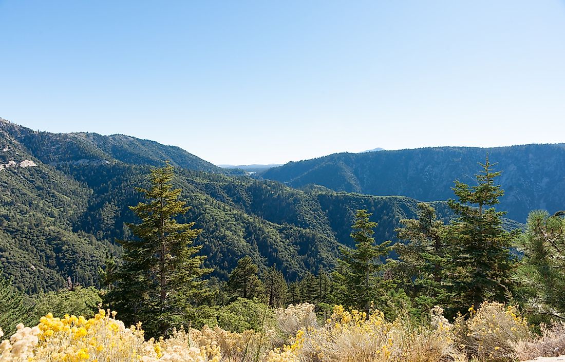 The San Bernardino National Forest in California. 