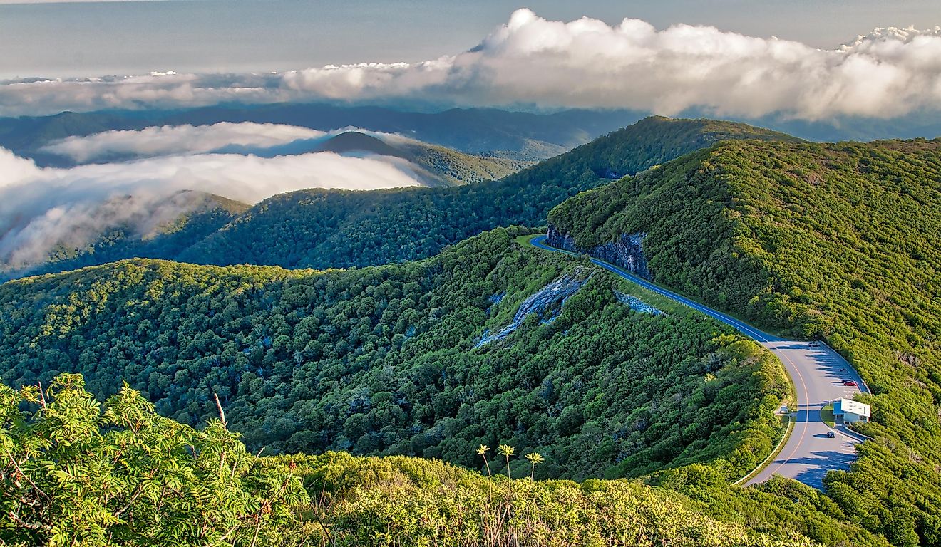 The stunning Blue Ridge Parkway.