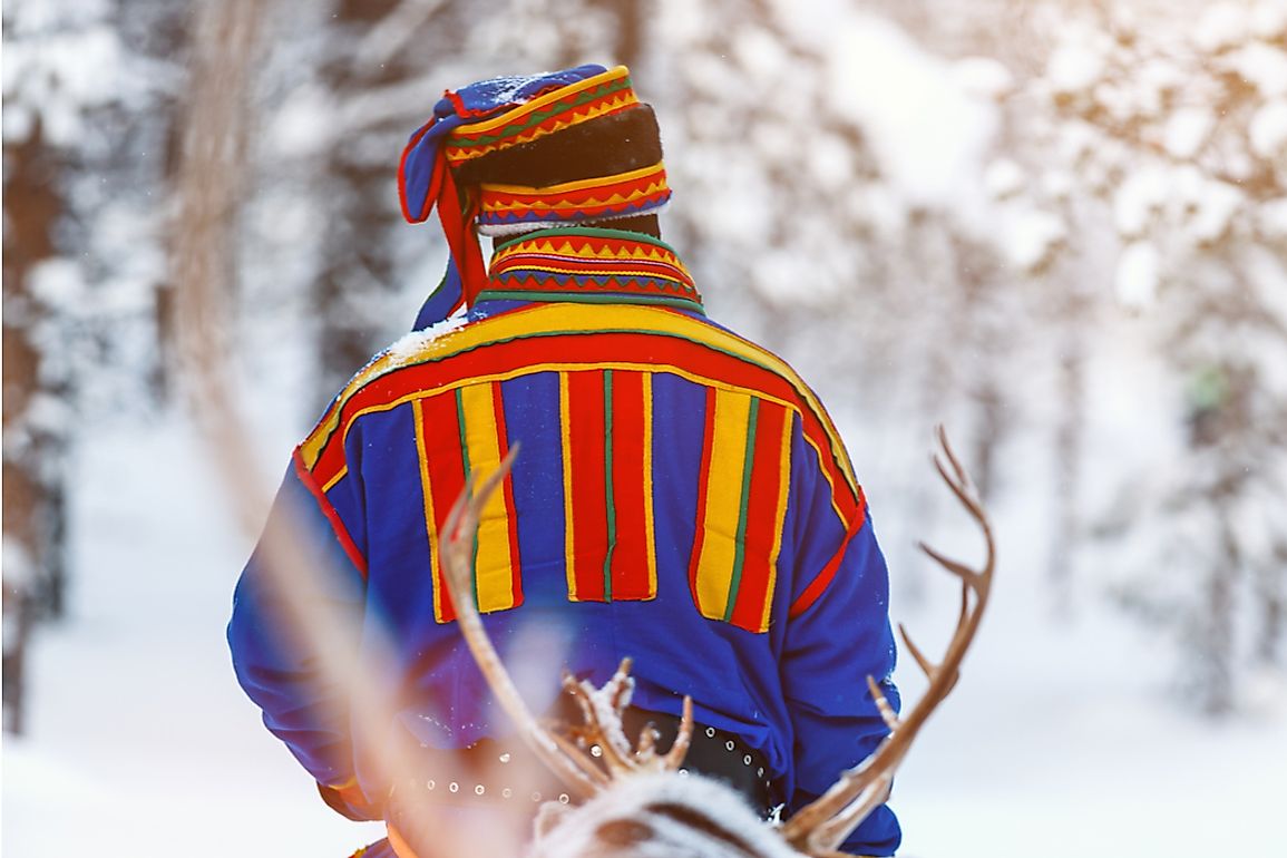 Sami man in Finnish Lapland with reindeer.