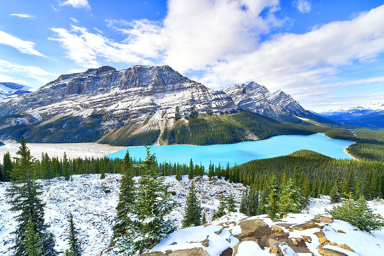 Peyto Lake, Alberta. 