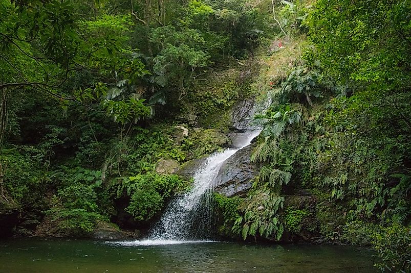 Pristine waterfall in Okinawa, the largest of the Ryukyu Islands.