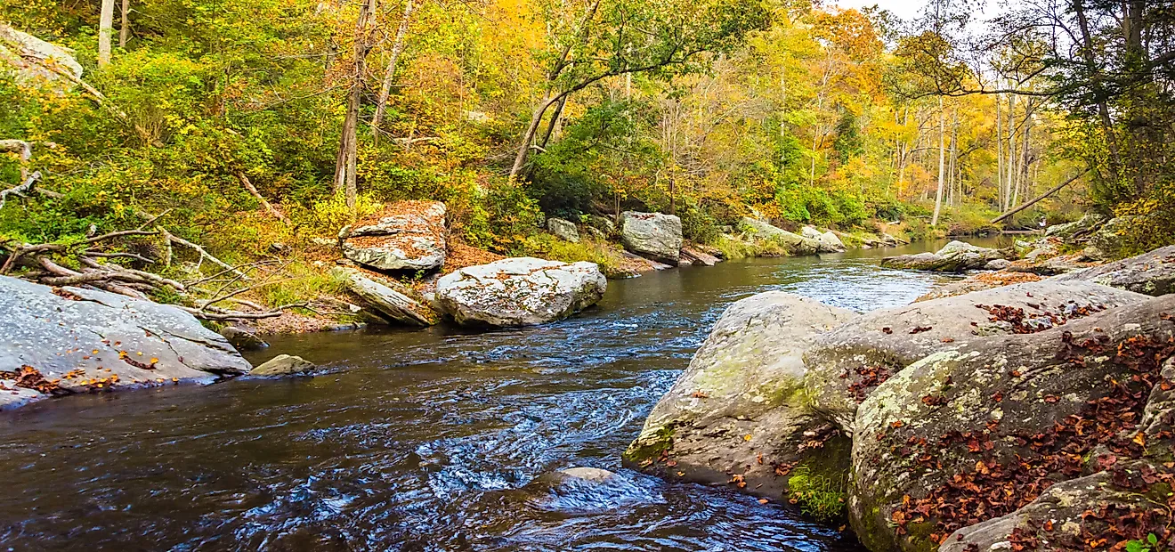 Wild horses of Assateague Island National Seashore, near Berlin, Maryland.