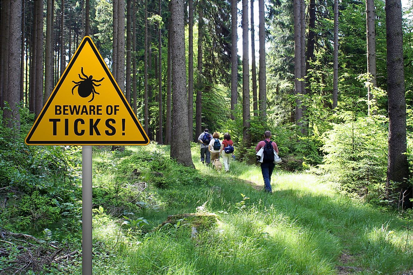 Warning sign "beware of ticks" in infested area in the green forest with walkers. Image credit: Heiko Barth/Shutterstock.com