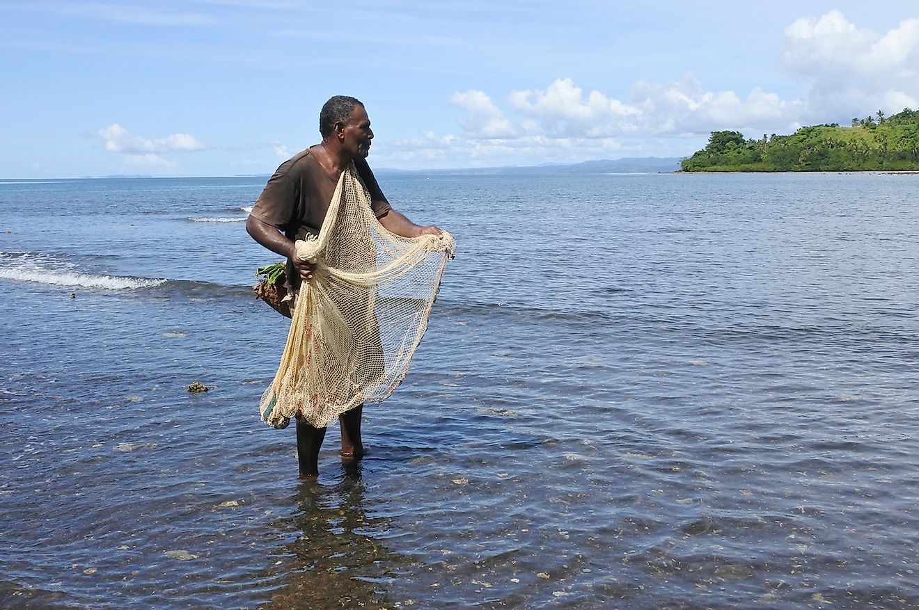 Indigenous Fijian fisherman fishing with a Fishing net in Vanua Levu, Fiji. Image credit: ChameleonsEye/Shutterstock.com