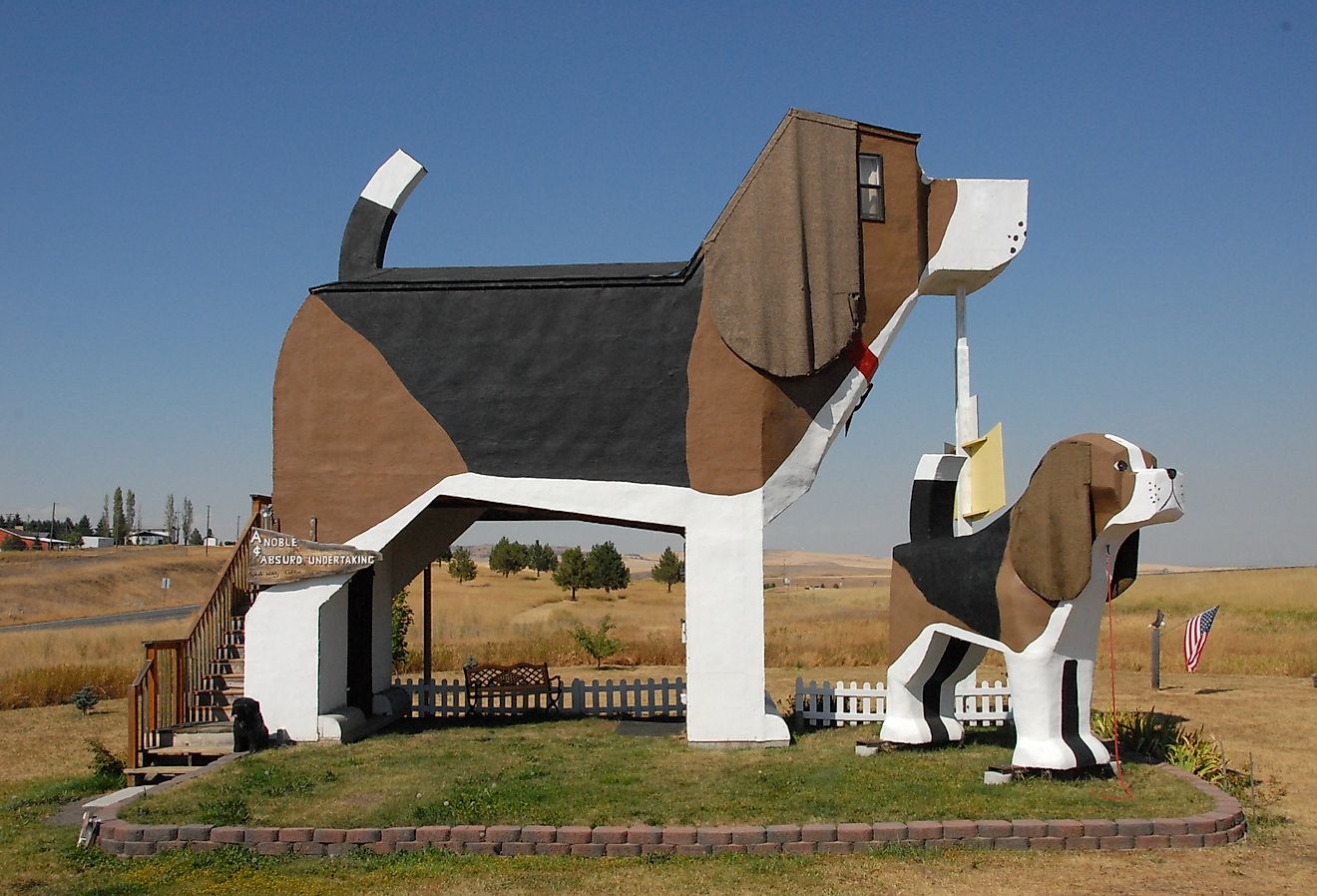 Dog Bark Park in Cottonwood, Idaho.