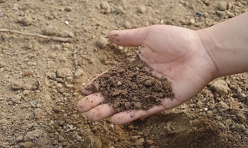 USDA has classified soils into various orders depending on a variety of factors.