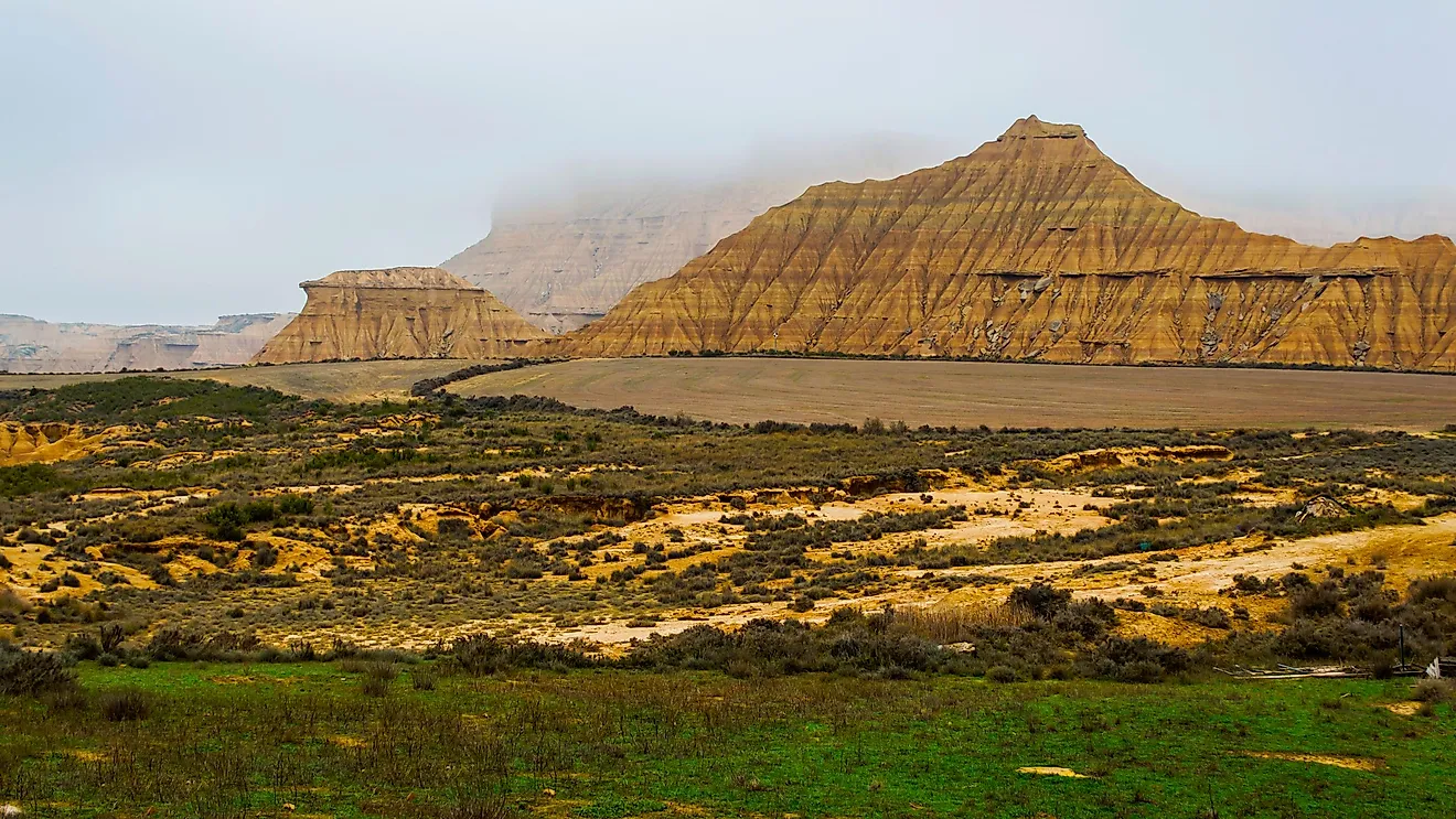 Most of the desert biome indeed has a very low annual rainfall, and their plant and animal species need to adapt to the heat to survive.