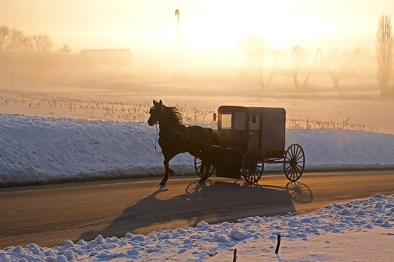 Amish carriage in morning fog, Lancaster County, Pennsylvania. Via Shutterstock / Delmas Lehman