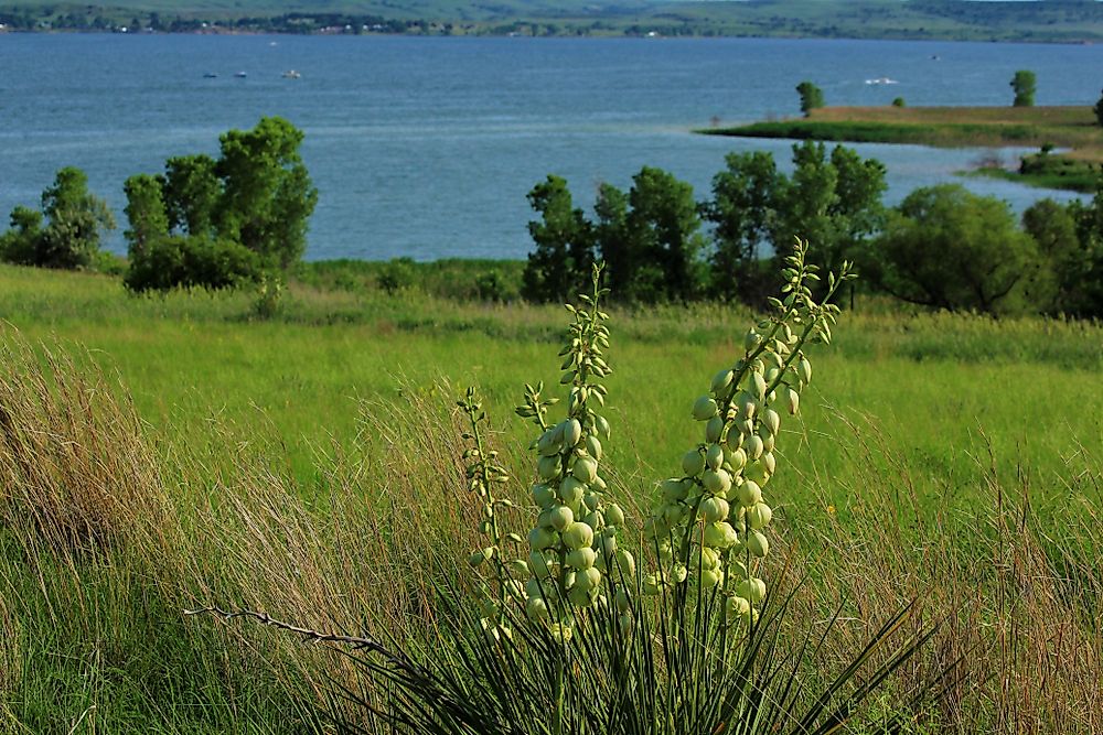 Wilson Lake, one of the ten largest lakes in Kansas. 