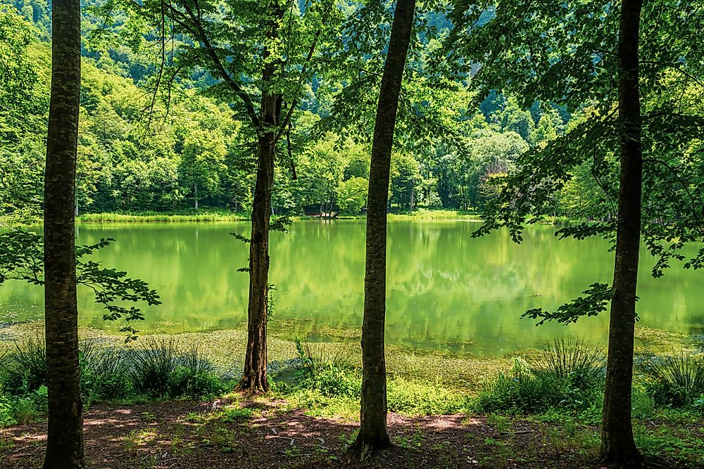A picturesque lake in Dilijan National Park, Armenia.