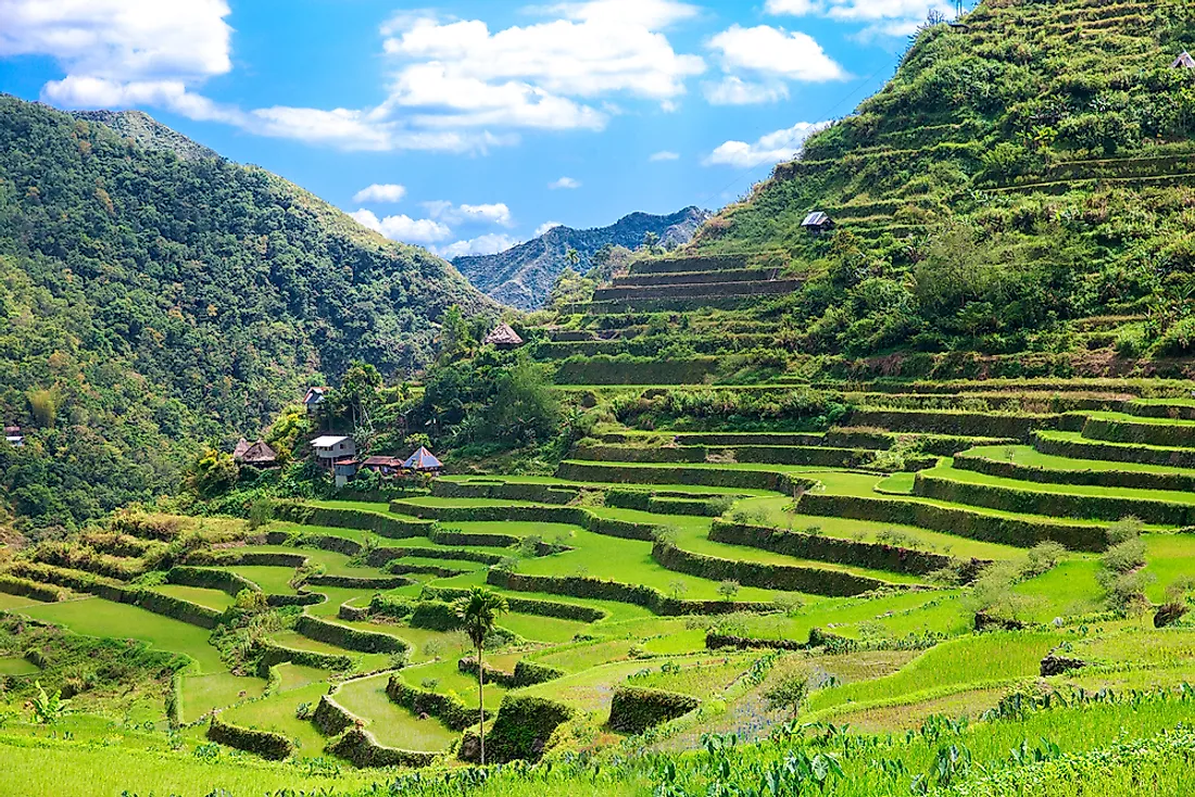 Banaue Rice Terraces. 