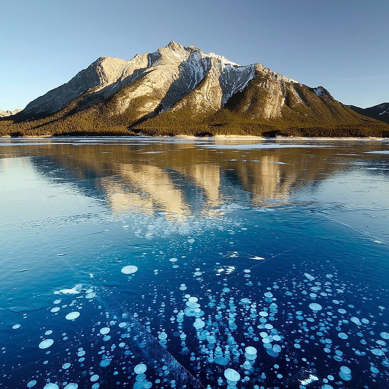 Abraham Lake is unique for its bubbles. Image credit: Jakub Fryš/Wikimedia.org