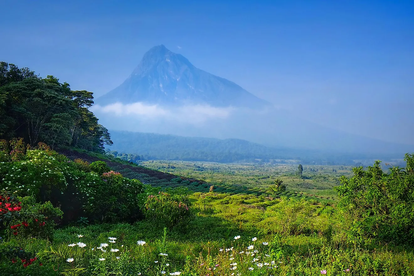 Virunga National Park, Democratic Republic of the Congo.