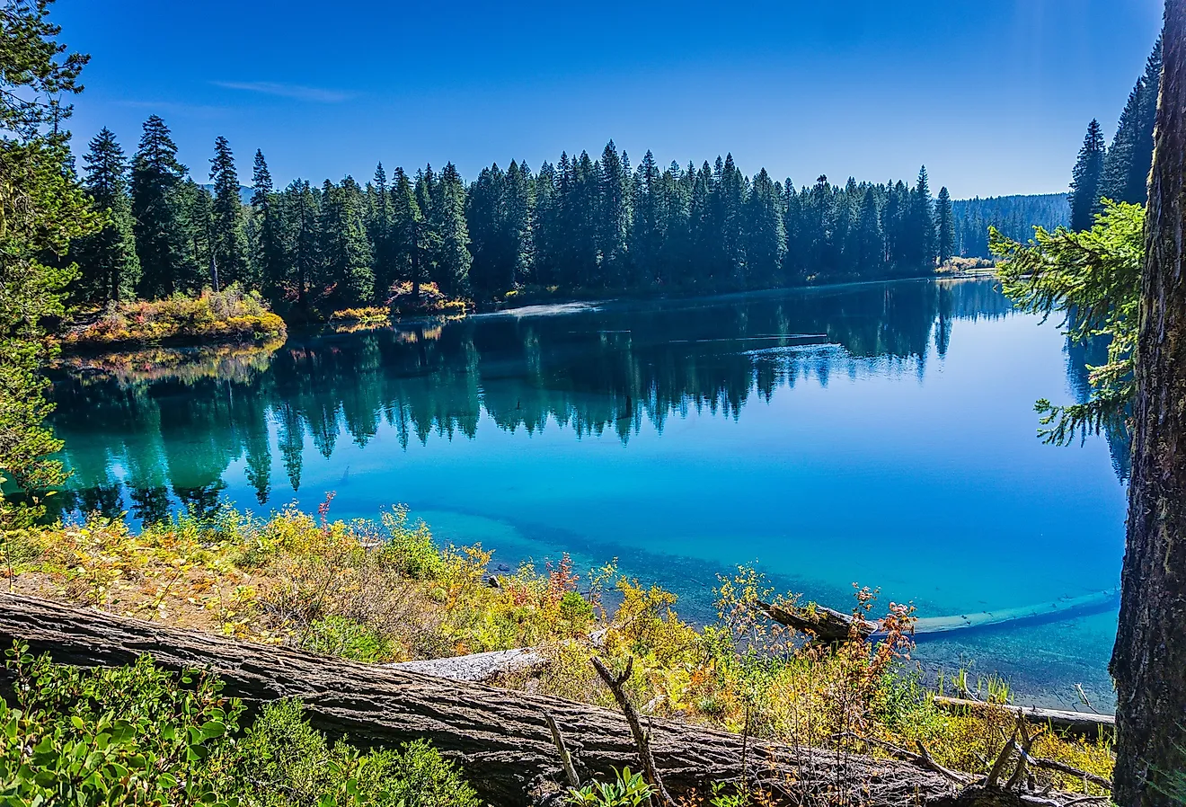 Clear Lake, in Oregon's Willamette National Forest, seen from the McKenzie River Trail.