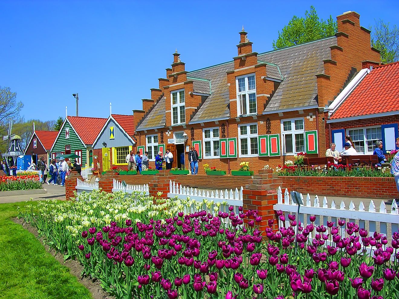 Tulip Time Festival celebrations in Holland, Michigan.