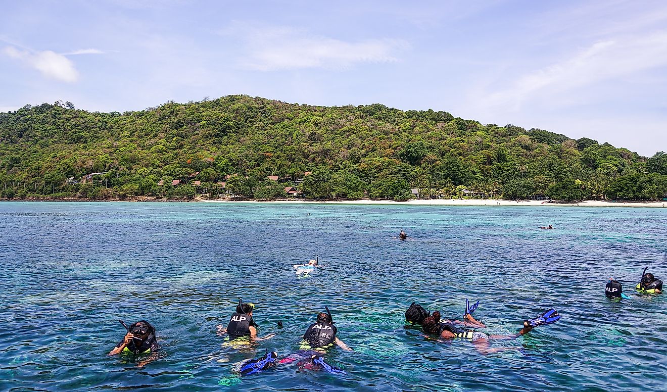 Scuba diving at Phi Phi islands. Image credit: Michelle Maria from Pixabay