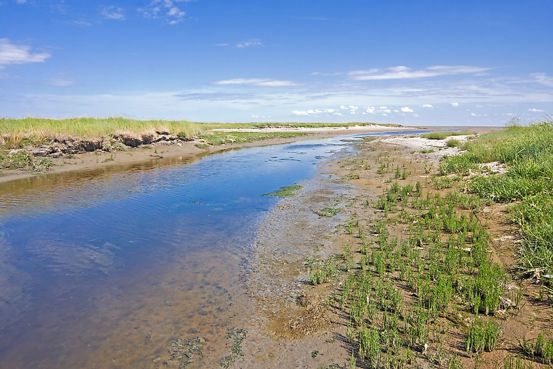 A tidal creek can have a marsh-like appearance. 