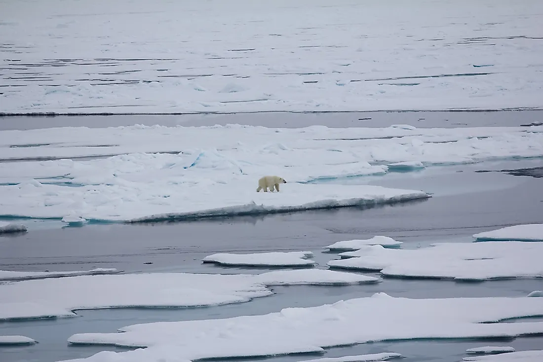 The Arctic is not a landmass, but sea and see-ice surrounded by different landmasses. 