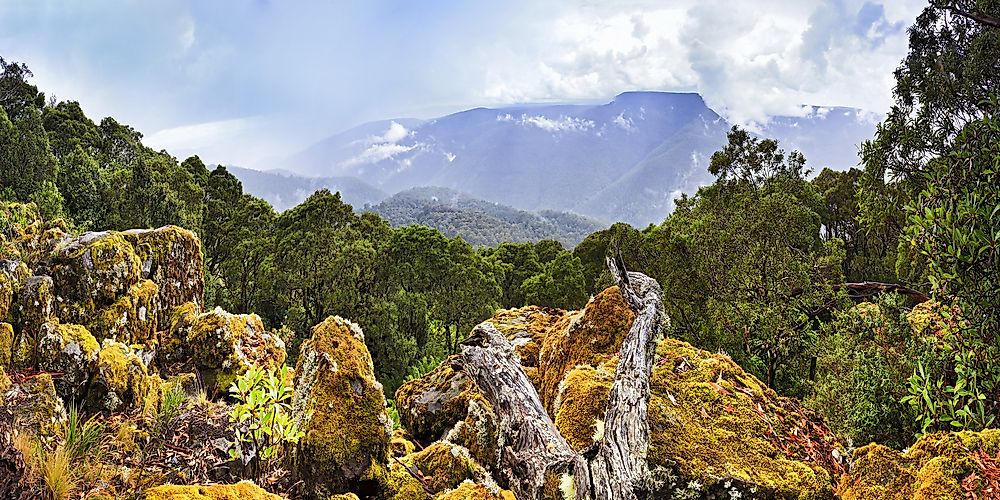 Barrington Tops National Park.