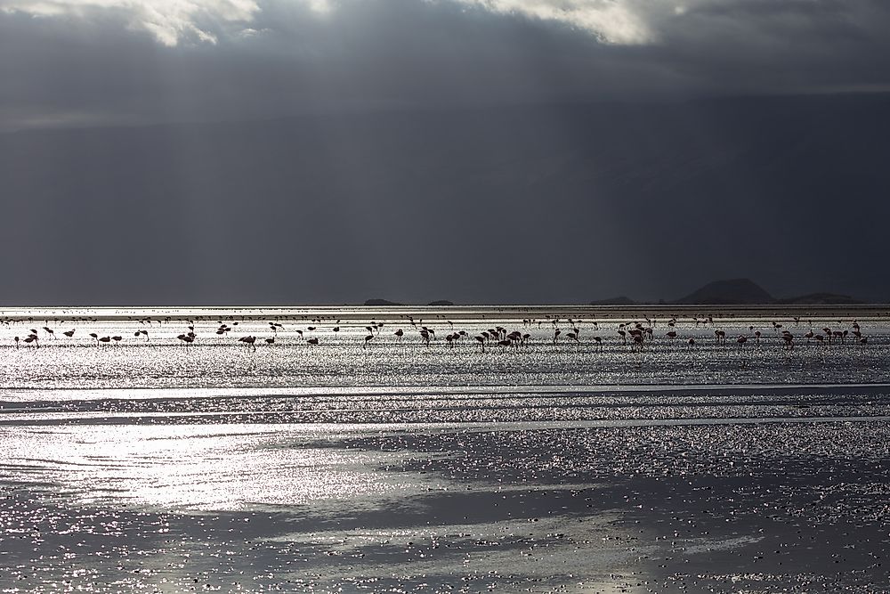 Lake Natron, Tanzania, is an example of a soda lake. 