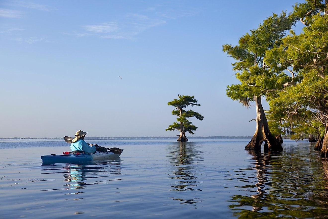 Blue Cypress Lake