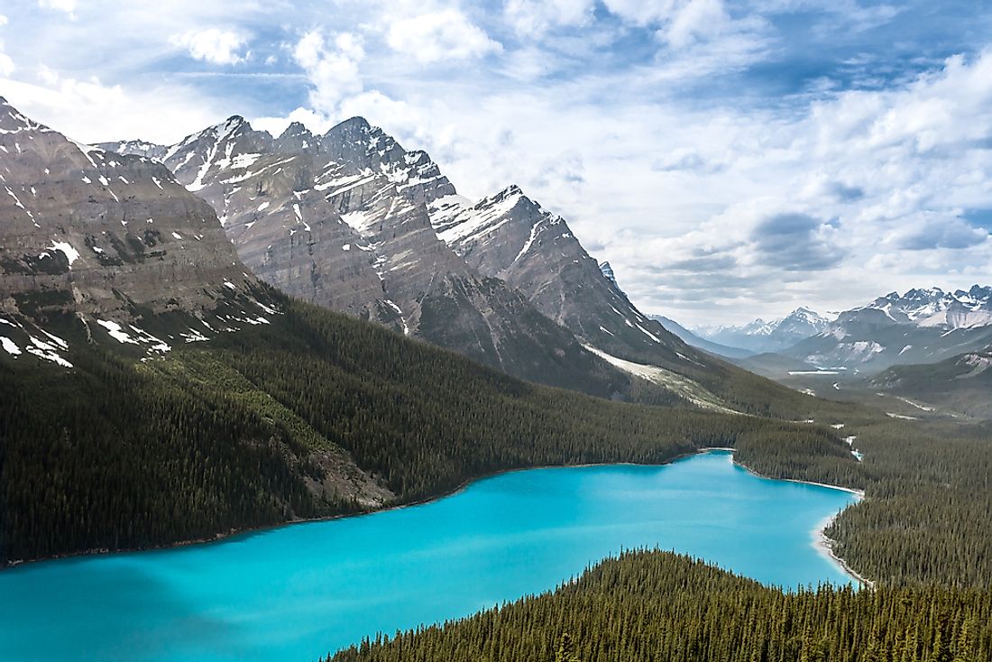 Peyto Lake, Yoho National Park. 