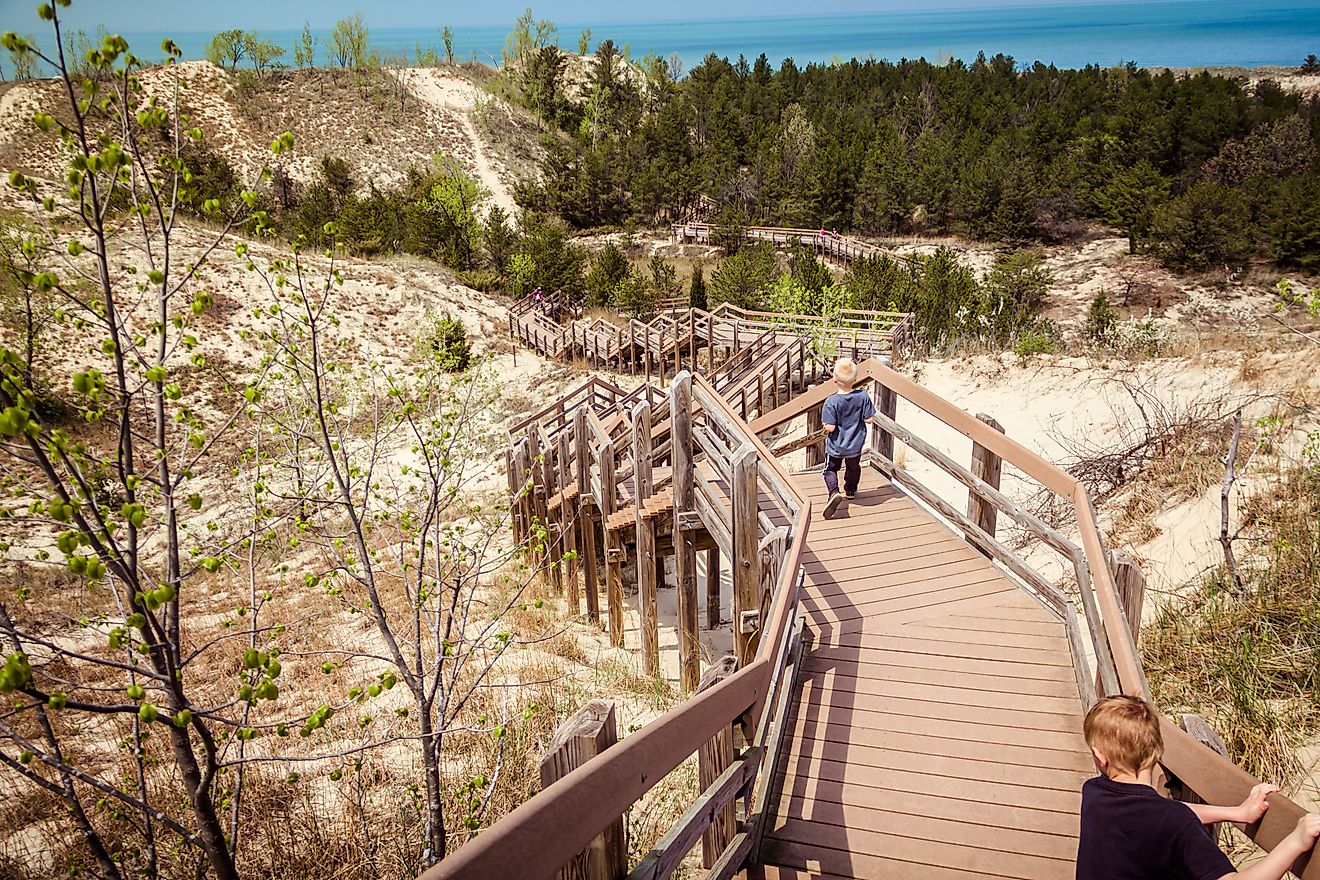 Boardwalk at Indiana Dunes National Park.