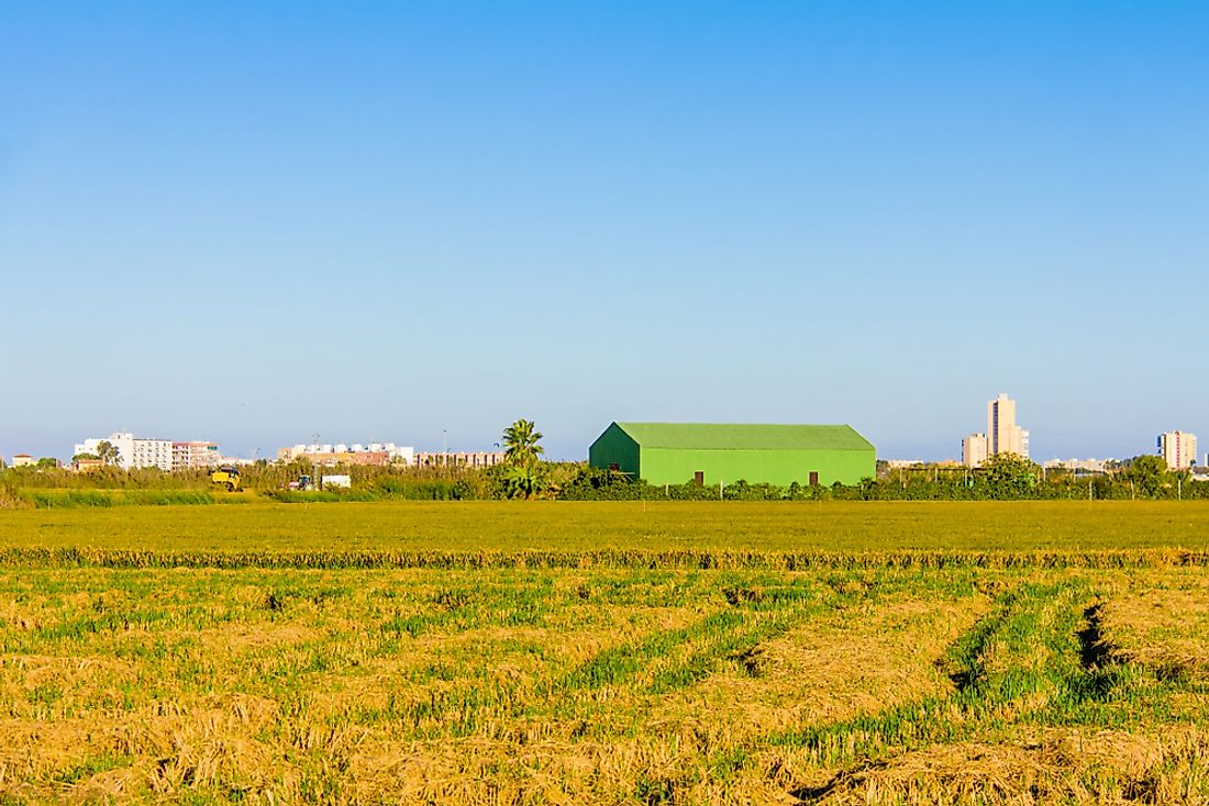 Farmland in Valencia, Spain. 