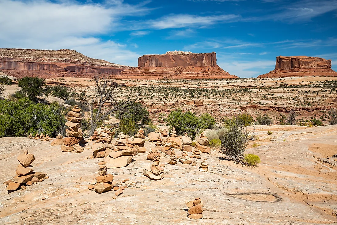 north american desert