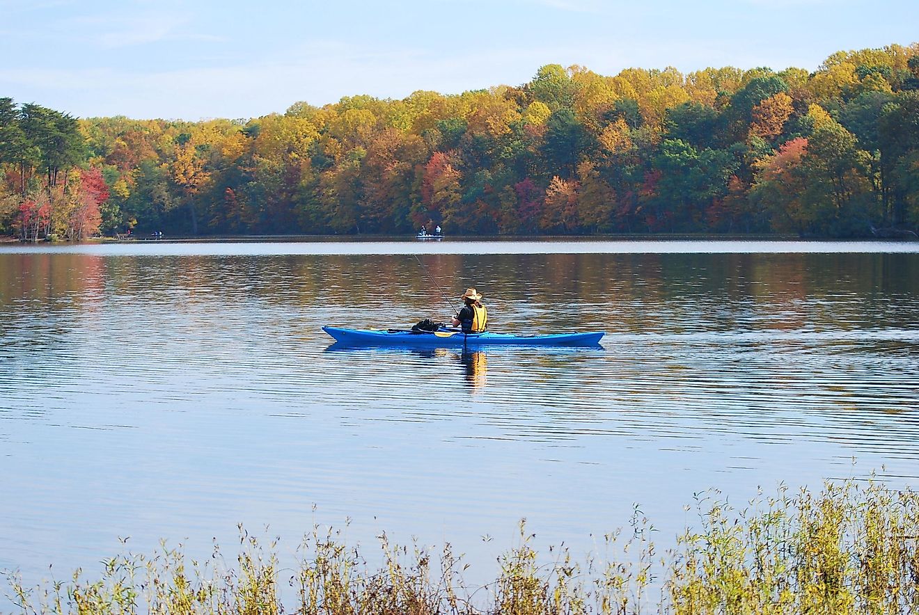 Man in a blue kayak in Burke Lake Virginia, with fall forest foliage around the lake.