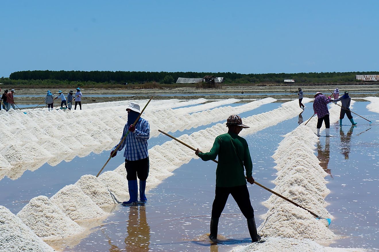 Salt harvesting. 