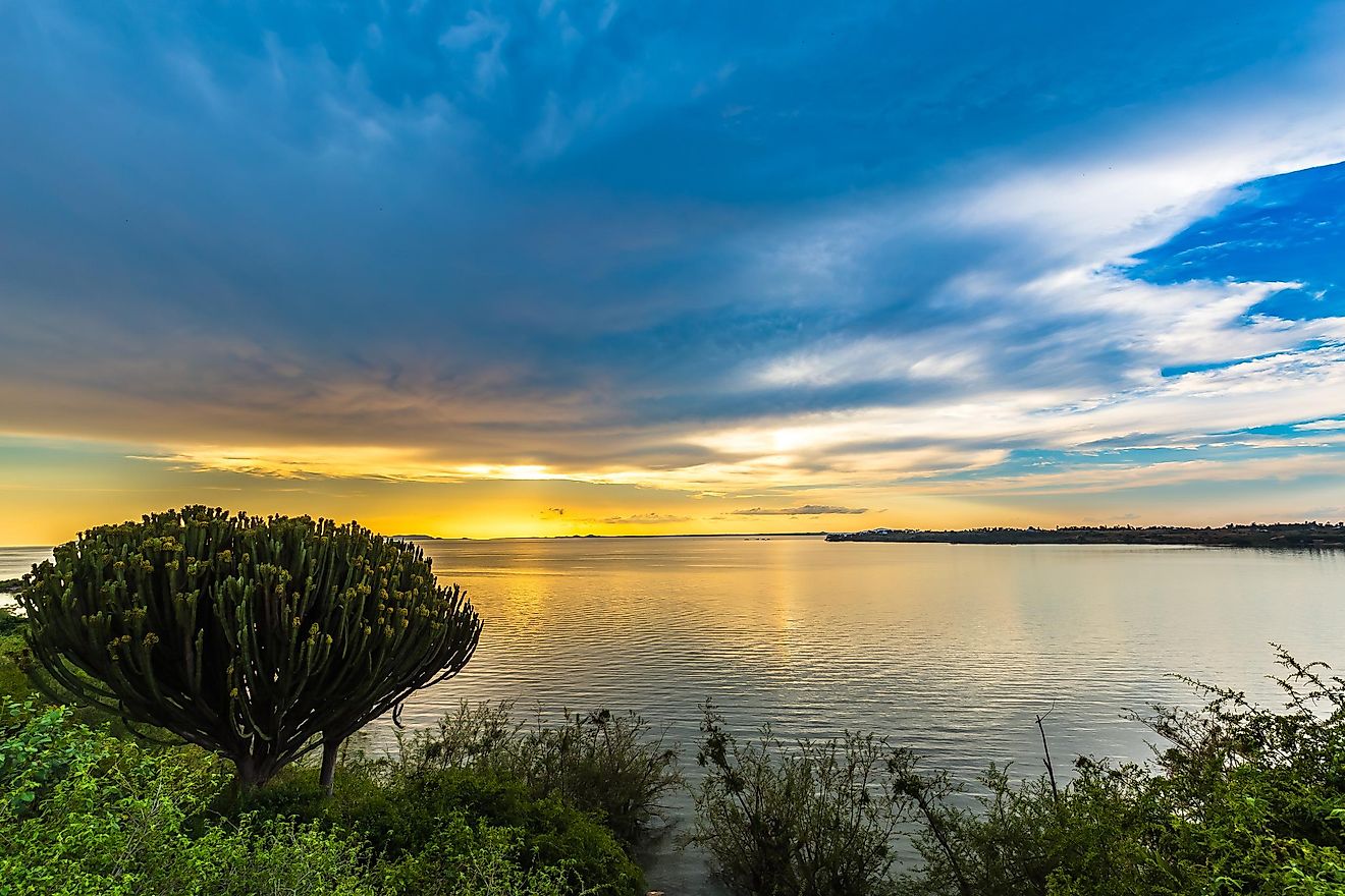 Lake Victoria, Kenya. 