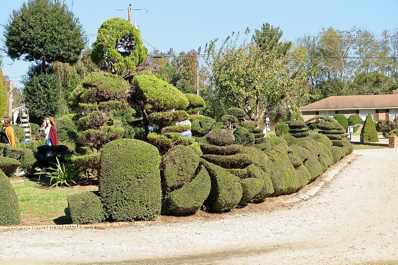 Pearl Fryar Topiary Garden, Bishopville, SC By Judson McCranie, CC BY-SA 3.0, Wikimedia Commons