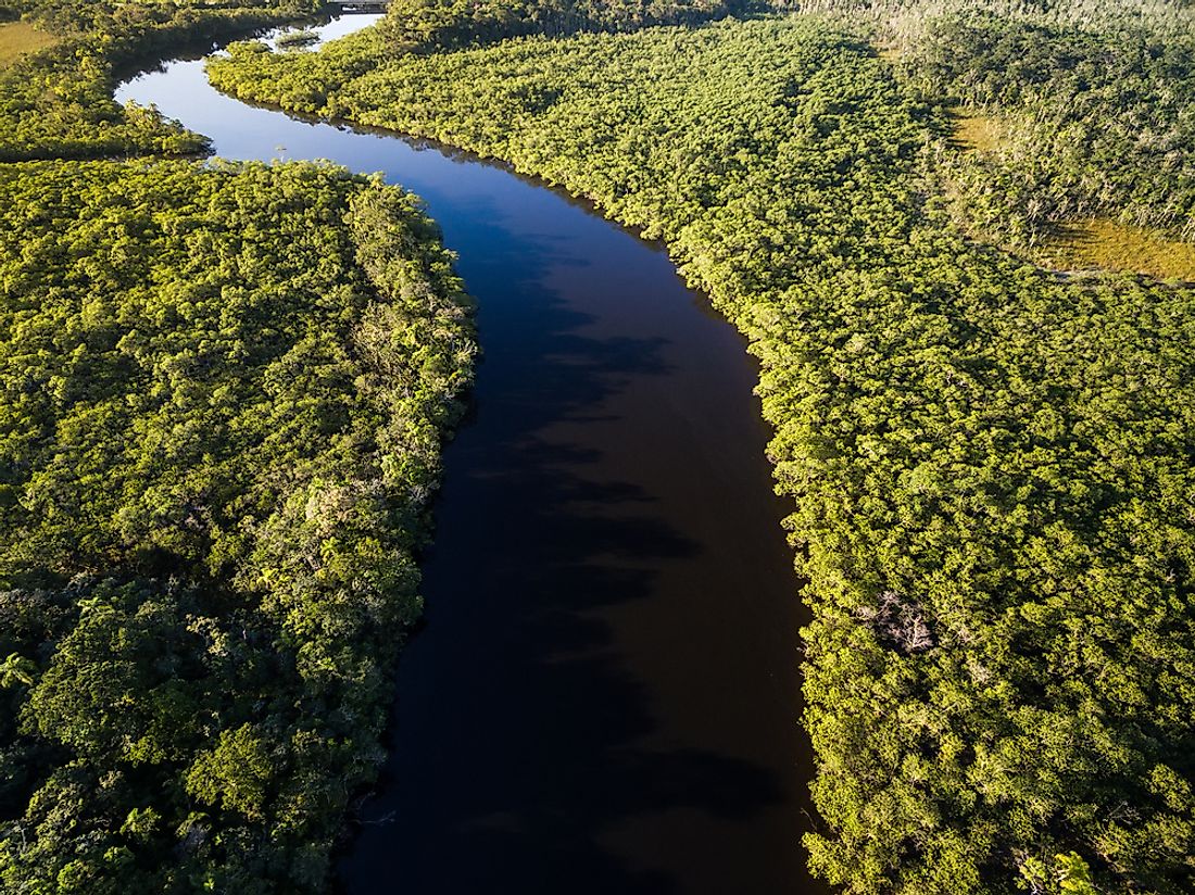 A view of the Amazon Rainforest in Brazil. 