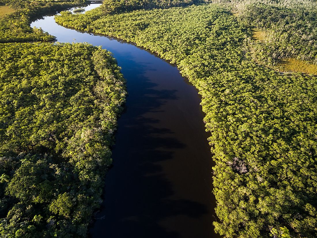 List of 5 Countries with Largest Forests in the World, by Yanuar Hadi