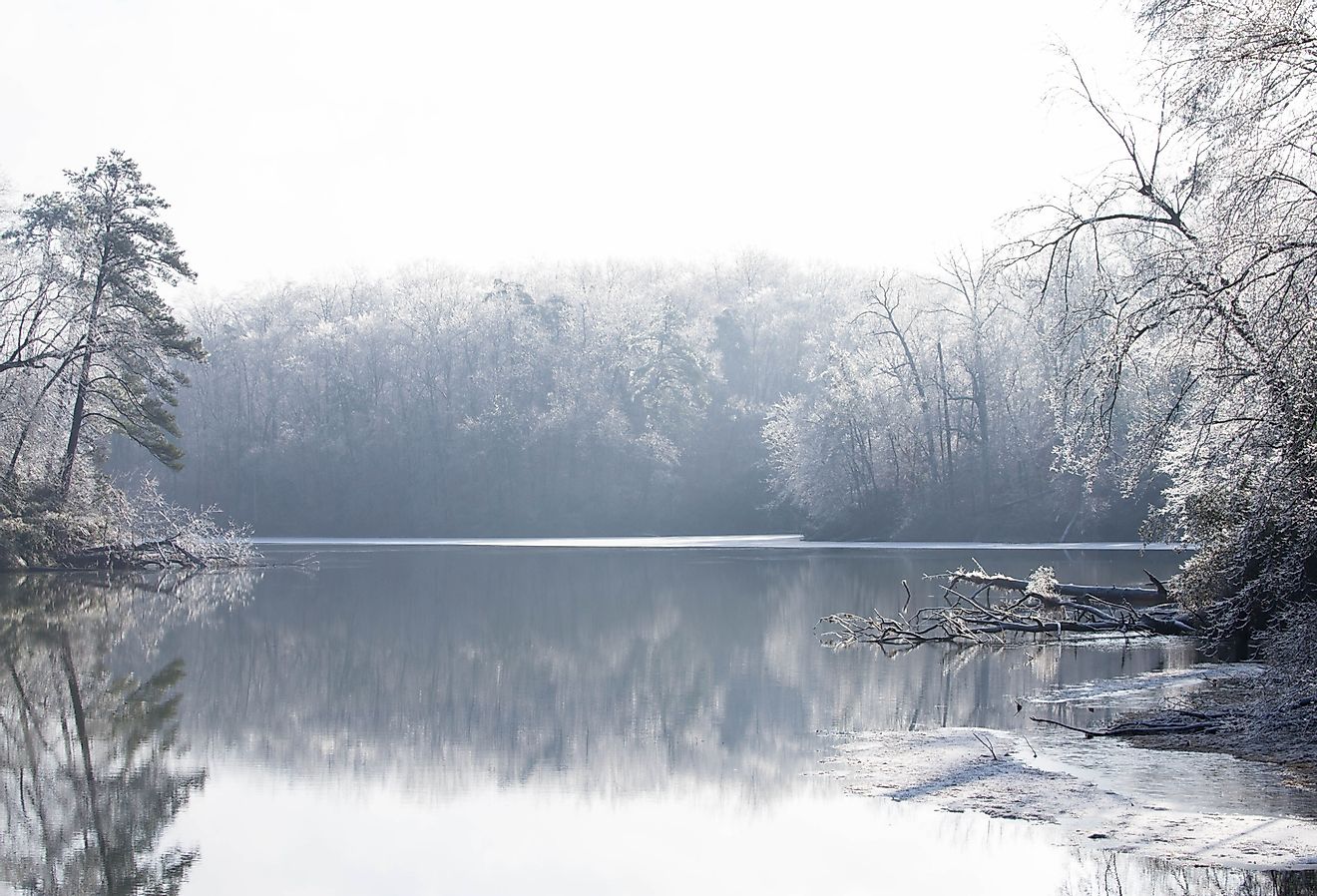 Frozen trees on a lake in Williamsburg, Virginia.