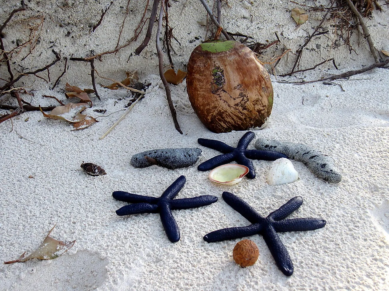 White sands lie under perfect skies in Fiji's Mamanuca Islands.