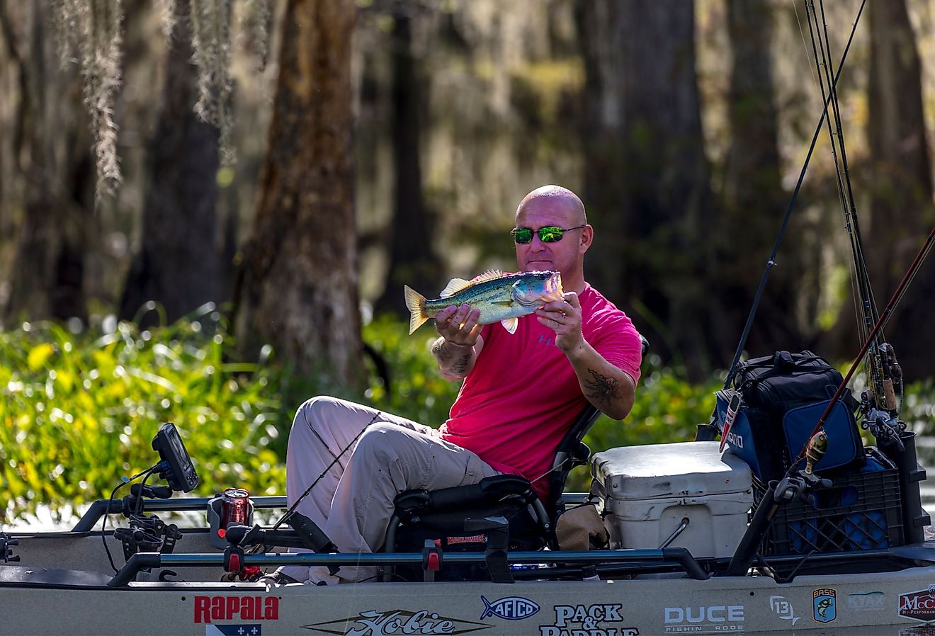  Fisherman in Cajun Swamp & Lake Martin, near Breaux Bridge and Lafayette, Louisiana. Image credit Joseph Sohm via Shutterstock.com.